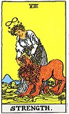 Tarot Strength